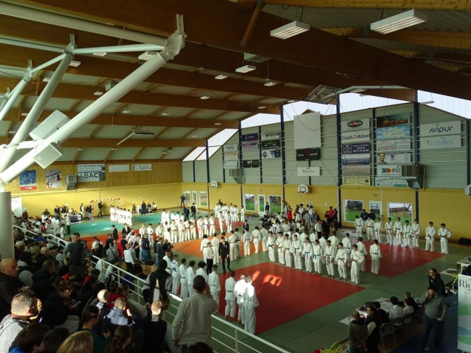 Image de l'actu '14ème OPEN DE JUDO DE RIORGES : BRAVO LES CHARLIENDINS !'